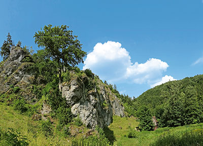 Naturpark Fränkische Schweiz-Veldensteiner Forst